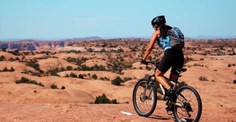 Moab: Mountain Bike Half Day Tour - What the Tour Entails: From Start to Finish