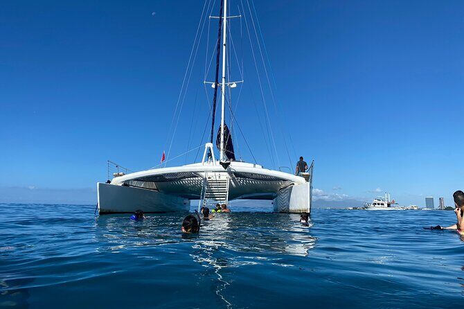 Moanas SwimnSail Cocktail Cruise Along the Waikiki Coast - The Sum Up: Is This Cruise for You?