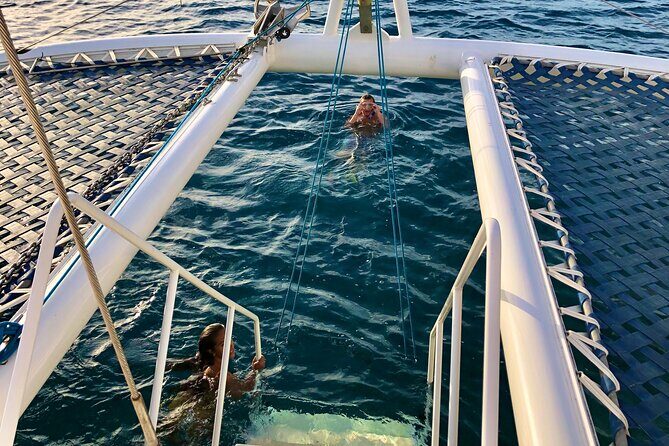 Moanas Waikk Grand Guided Turtle Snorkel & Sailing Adventure - Why This Tour Offers Great Value