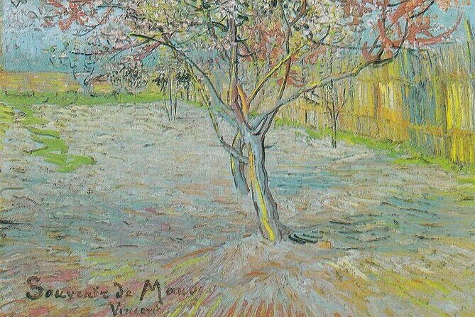 Modesto Almond Blossom Tour: Explore & Discover - Audio Tour - Why Choose This Tour? The Highlights