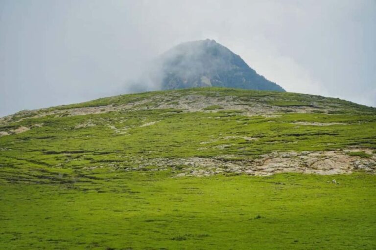 Mogle Mountain Hiking For Birding, Natures From Addis Ababa - The Practicalities: What’s Included and What to Expect