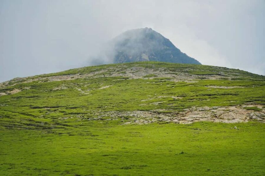 Mogle Mountain Hiking For Birding, Natures From Addis Ababa - The Practicalities: What’s Included and What to Expect