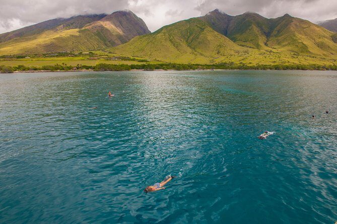Molokini and Turtle Arches Snorkeling Trip from Ma'alaea Harbor - Food and Refreshments: A Key Part of the Experience