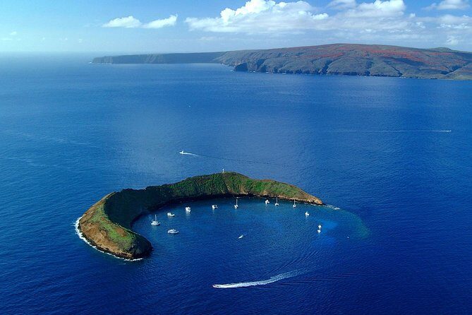 Molokini Snorkeling Adventure Aboard Calypso From Ma'alaea Harbor - Inside Molokini Crater: A Marine Sanctuary