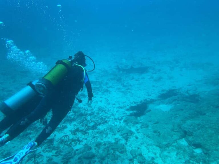 Mombasa: Discover Scuba Diving Experience with PADI Guide - Why It’s a Good Choice for Travelers