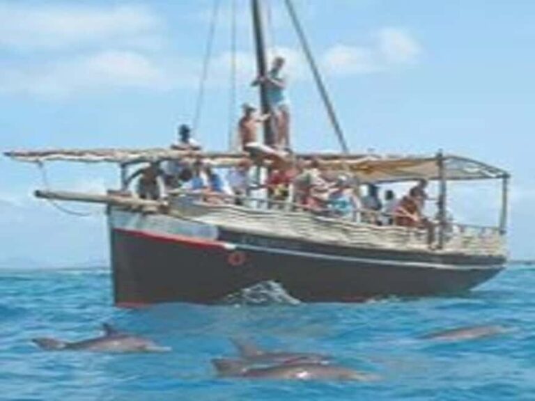 Mombasa: Snorkeling, Dolphin watching, seafood lunch. - Practicalities and What You Should Know