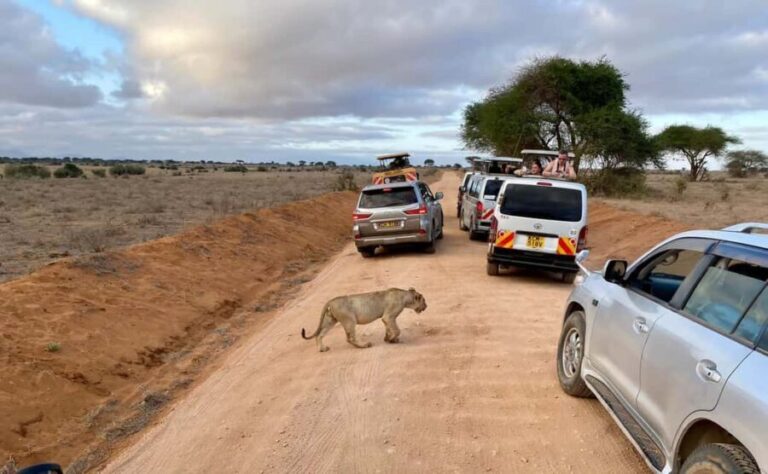 Mombasa: Tsavo East Ngutuni Sanctuary Overnight Safari - The Itinerary: What To Expect