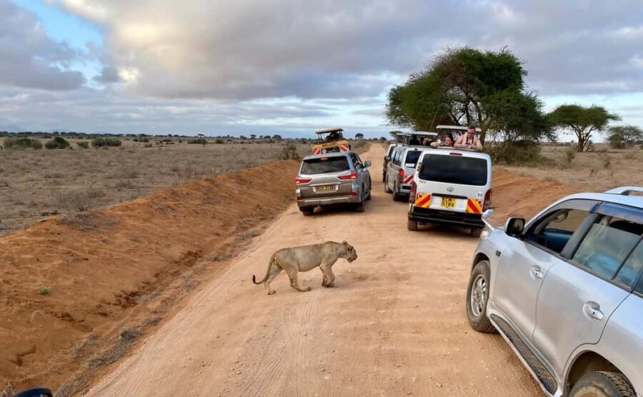 Mombasa: Tsavo East Ngutuni Sanctuary Overnight Safari - The Itinerary: What To Expect