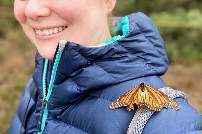 Monarch Butterfly: Biosphere Reserve & Christmas Tour in Mexico - Picking up in Mexico City and Scenic Drive