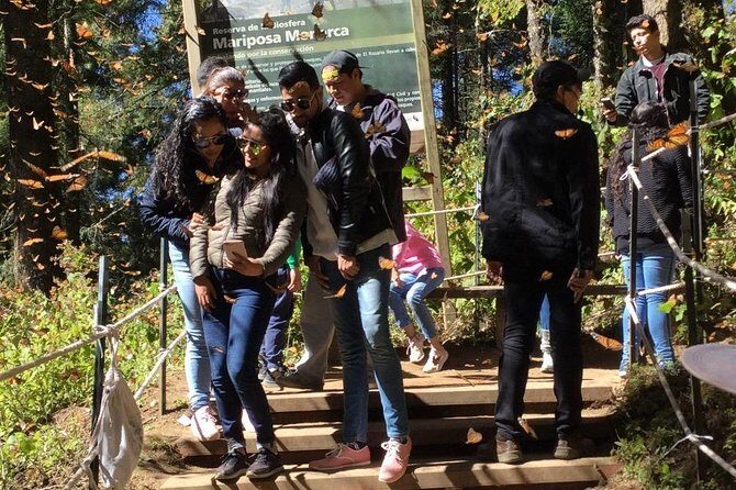 Monarch Butterfly Private Tour (Morelia) - Practical Details to Keep in Mind