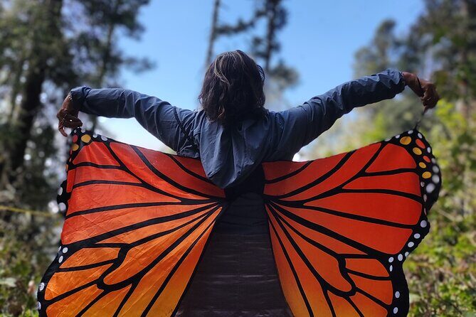 Monarch Butterfly Tour Mexico: Sierra Chuincua and Magic Town - The Sum Up: Is This Tour Worth It?