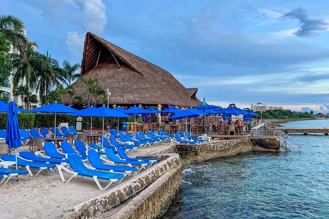 Money Bar All Inclusive Experience with Transportation - The Itinerary: What to Expect