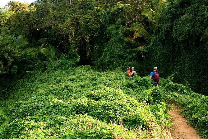 Monkey Mountain Jungle Hike Adventure - Who Will Love This Hike?