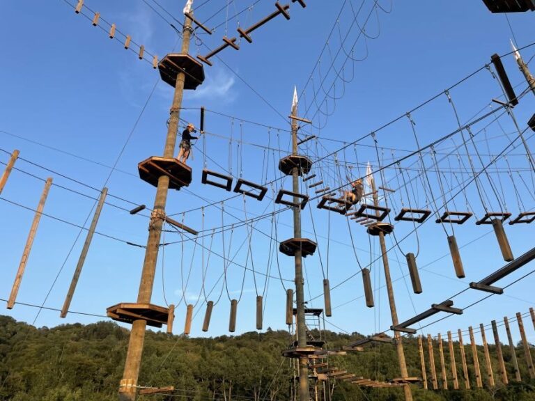 Mont-Catherine Aerial Adventure - The Experience: What You’ll Do