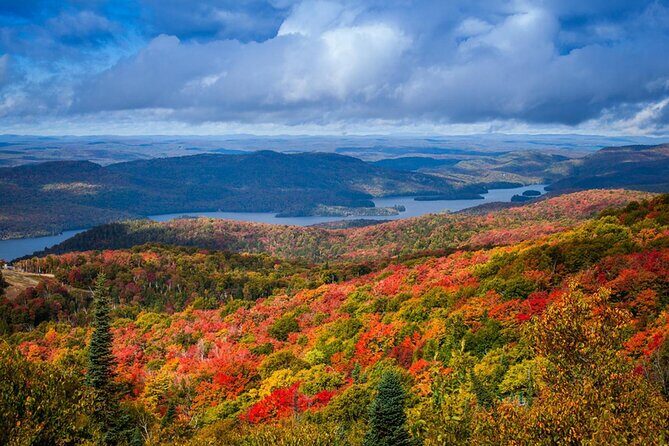Mont-Tremblant 1-Day Tour - Real Experiences from Travelers