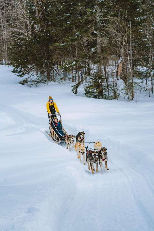 Mont-Tremblant: Dogsledding Upper Laurentians - The Value and Practicalities