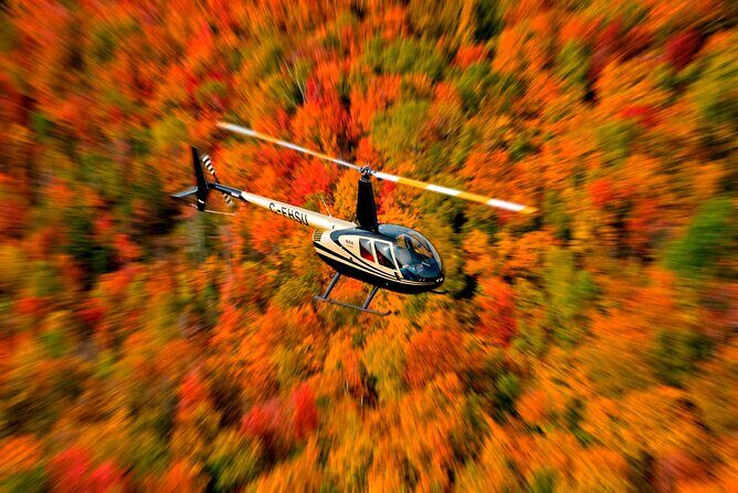 Mont-Tremblant Helicopter Tours - Authentic Feedback from Past Travelers
