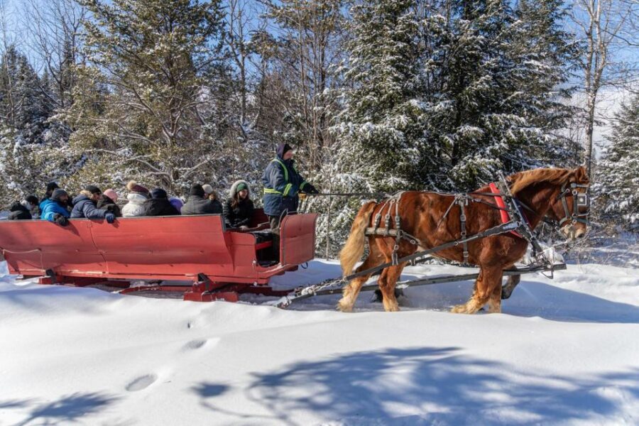 Mont-Tremblant: Sleigh Ride w/ Storytelling & Hot Chocolate - Authenticity and Value