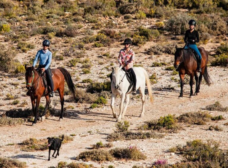 Montagu: 3-Day Horse Riding Adventure with Big 5 Safari - What’s Included and what to Consider