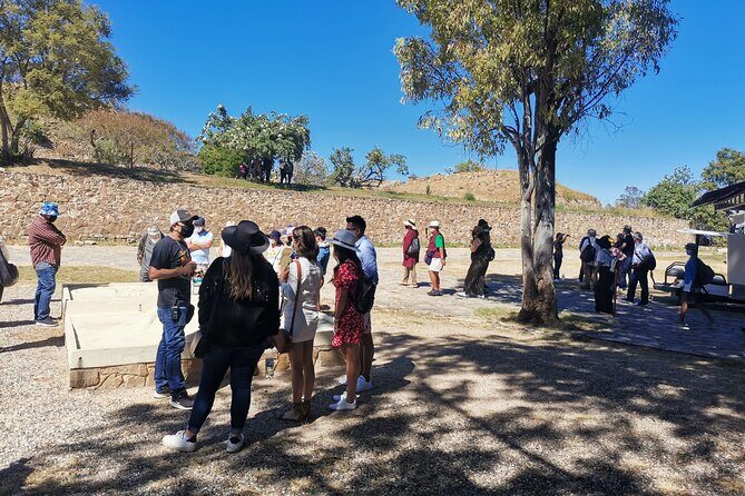 Monte Alban - Full Day Guided Tour with or without Food - Oaxaca - Lunch and Cultural Immersion