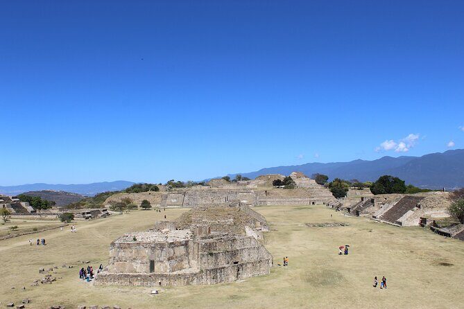 Monte Alban Only - Half Day Guided Tour - Oaxaca - A Closer Look at the Itinerary