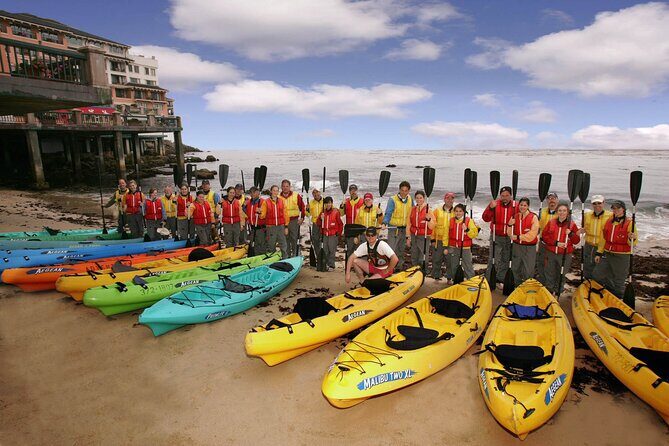 Monterey Bay Full-Day Kayak Rental: Otters, Seals and Sea Lions - How the Experience Feels in Practice