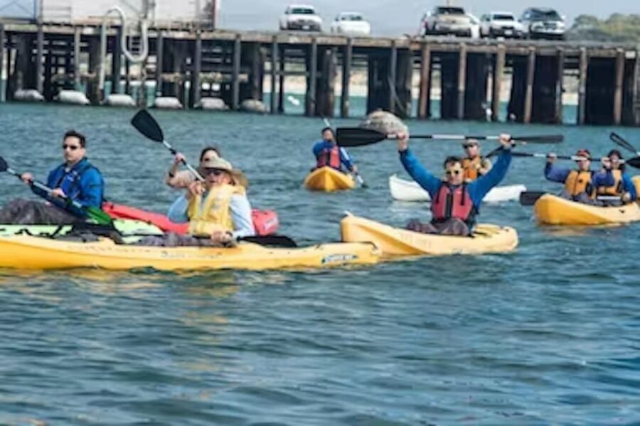 Monterey: Cannery Row Kayak Tour - Who Should Consider This Tour?