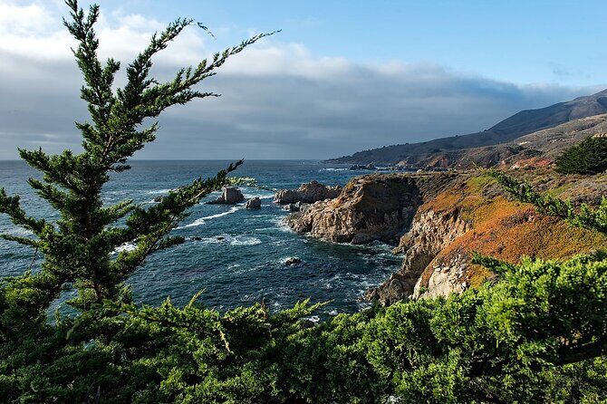 Monterey, Carmel, 17 Mile Drive, Bixby Bridge 5 hrs from Monterey - What the Tour Provides for You