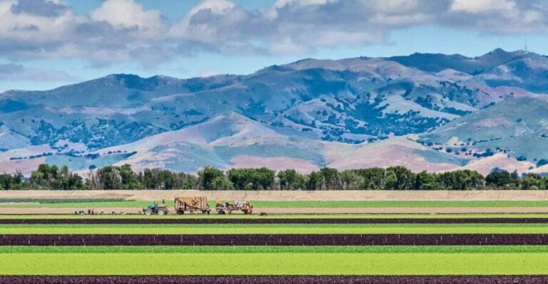Monterey County Salinas Valley Farm Tour - Tasting and Culinary Highlights