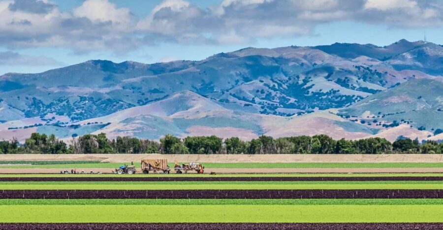 Monterey County Salinas Valley Farm Tour - Tasting and Culinary Highlights