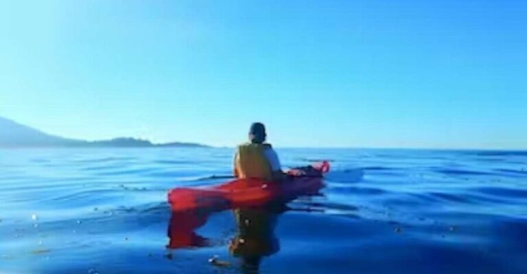 Monterey: Pebble Beach Kayak Tour - What to Expect on the Tour