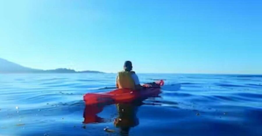 Monterey: Pebble Beach Kayak Tour - What to Expect on the Tour