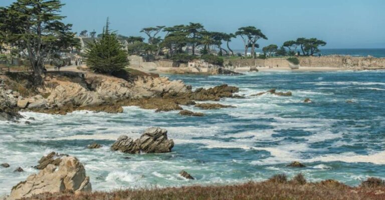 Monterey Peninsula Sightseeing Tour including 17 Mile Drive - What We Loved About the Tour