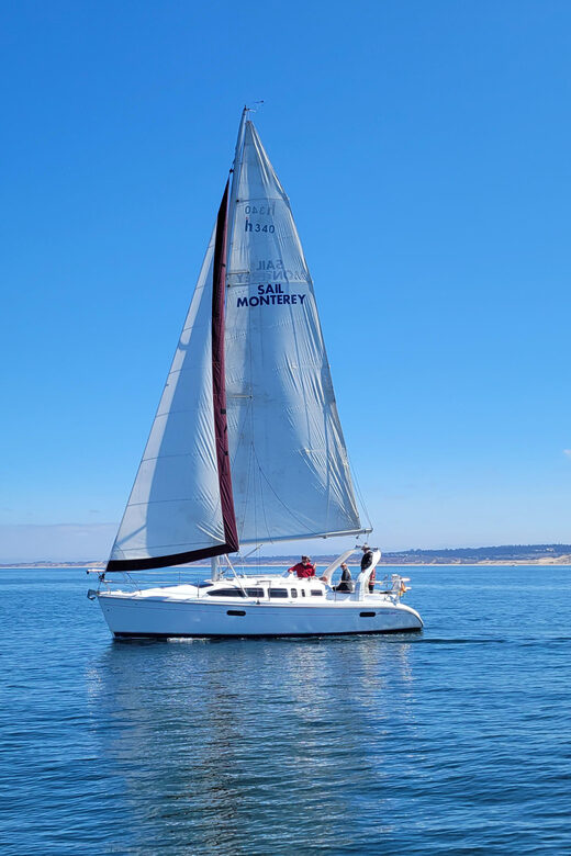 Monterey: Private Whale Watching/Sailing Tour for 6