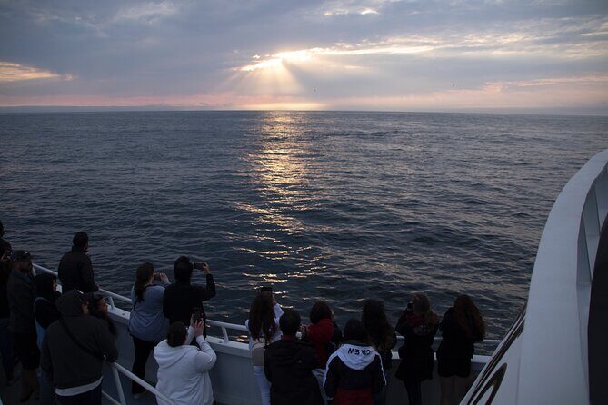 Monterey Whale Watching Tour - Who Will Love This Tour?