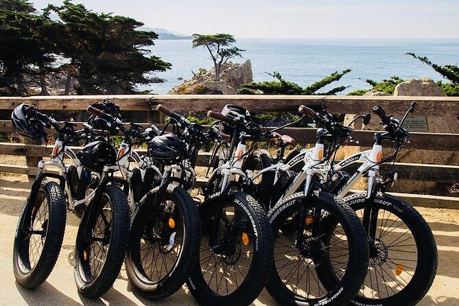 Monterey's 17 Mile Drive Electric Bike Tour, 2.5-3 hour - Who Will Love This Tour?