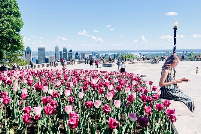 Montreal: 3-Hour Private Car Tour with Expert & Free Pick up - Why Choose This Tour?