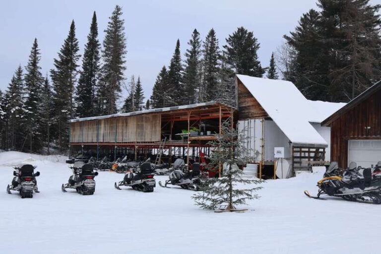 Montreal: Canadian Forest Guided Tour by Snowmobile - What the Tour Looks Like in Action