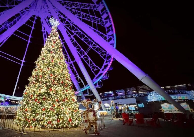 Montreal: Christmas Lights Private Walking Tour - What’s Included and Practical Details
