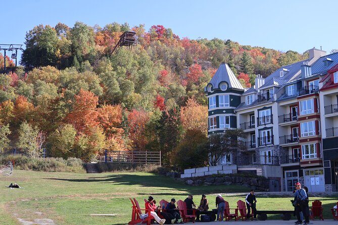 Montreal Guided Adventure in Mont Tremblant - Value and Practical Considerations