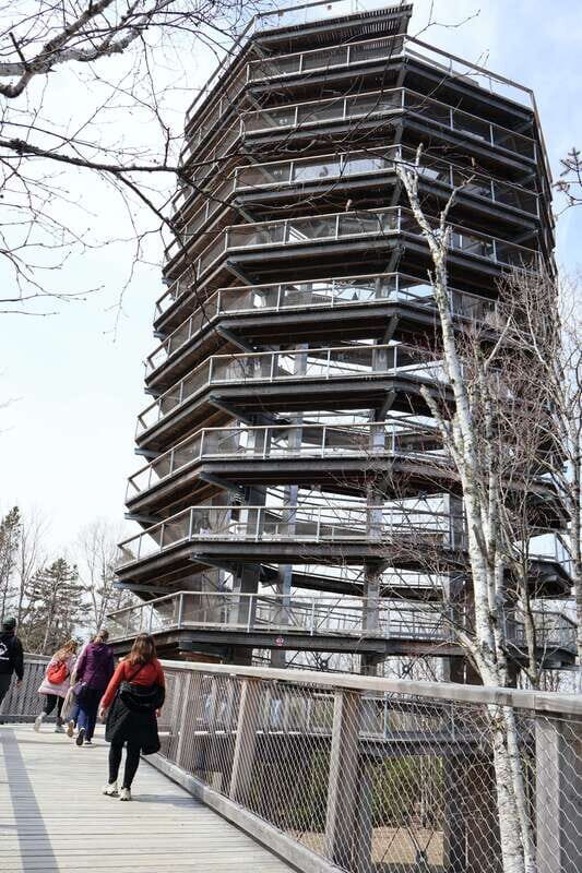 Montreal: Guided tour of the Laurentides Mont Tremblant - What You Can Expect from the Tour