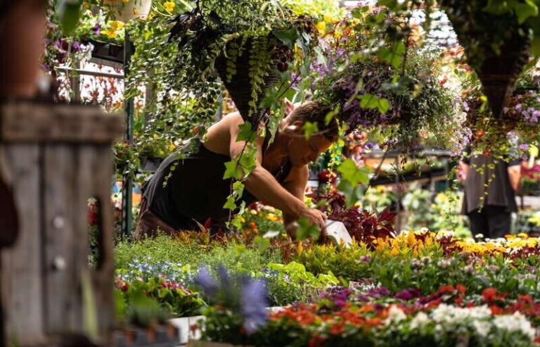 Montreal: Jean-Talon Market & Little Italy Highlights Tour - Who Will Love This Tour?