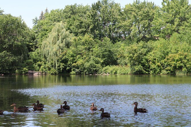Montreal Mindfulness Walking Tour Experience - What’s Included and What to Expect