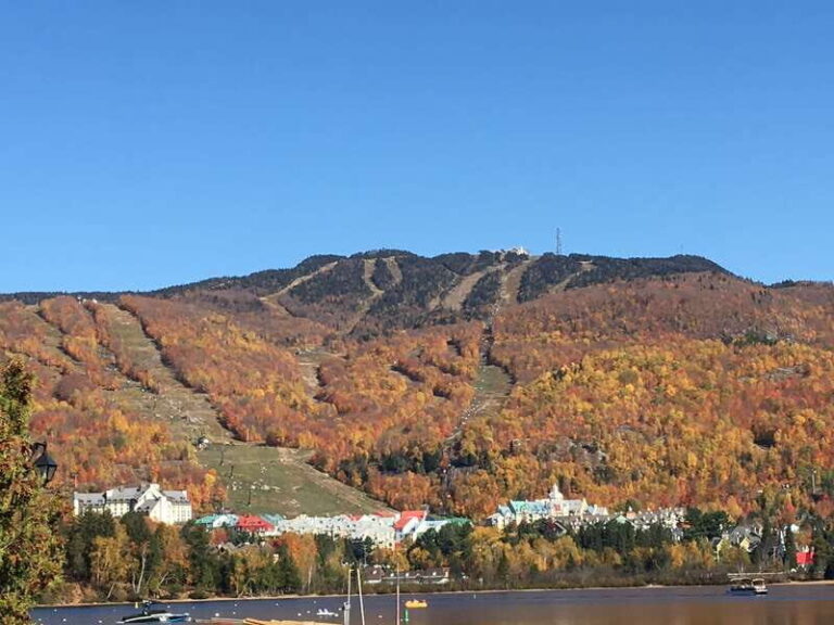 Montreal: Private Day Tour to Mont Tremblant - What to Expect on Your Day