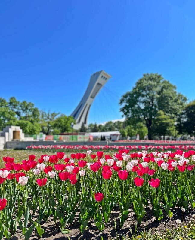 Montreal Private Walking Tour 2h Plus Video Experience 360° - A Detailed Look at the Montreal Tour