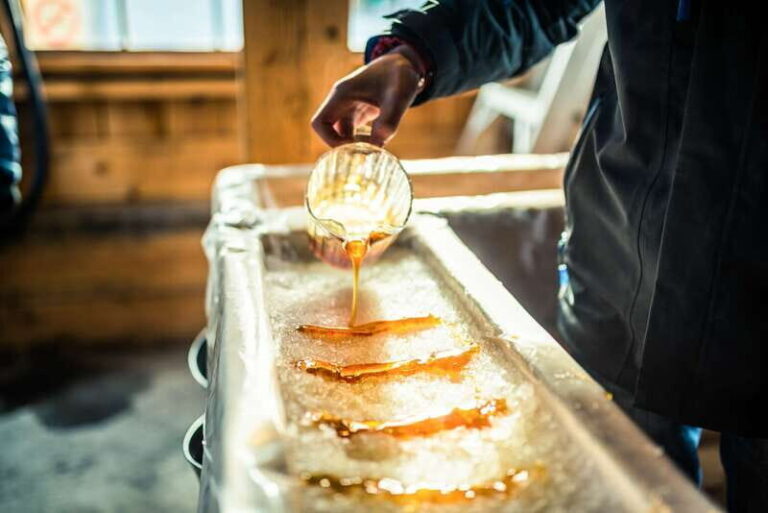 Montreal: Sugar Shack Maple Syrup Day Trip with Lunch - Transportation & Group Size