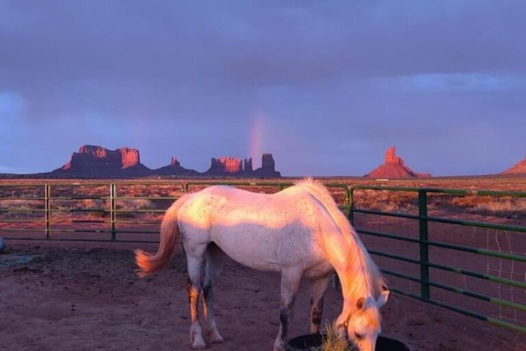 Monument Valley: Horseback Adventure Tour - The Authentic Cultural Connection