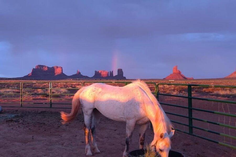 Monument Valley: Horseback Adventure Tour