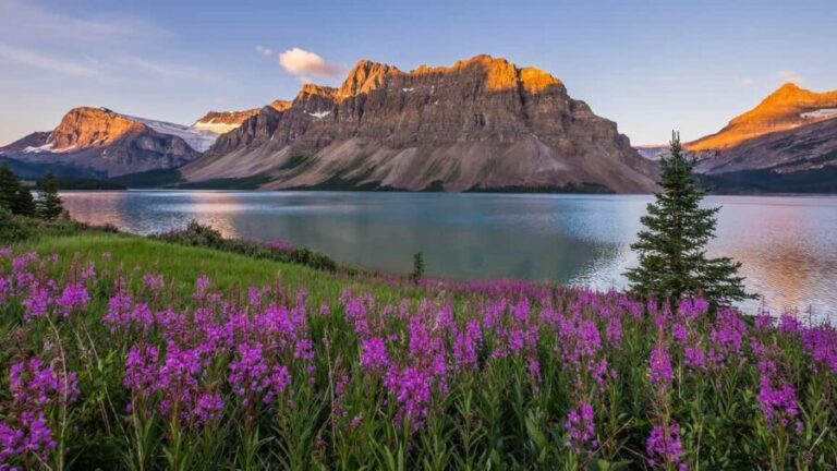Moraine Lake and Iconic Sights of the Rockies Private Tour - The Itinerary in Depth