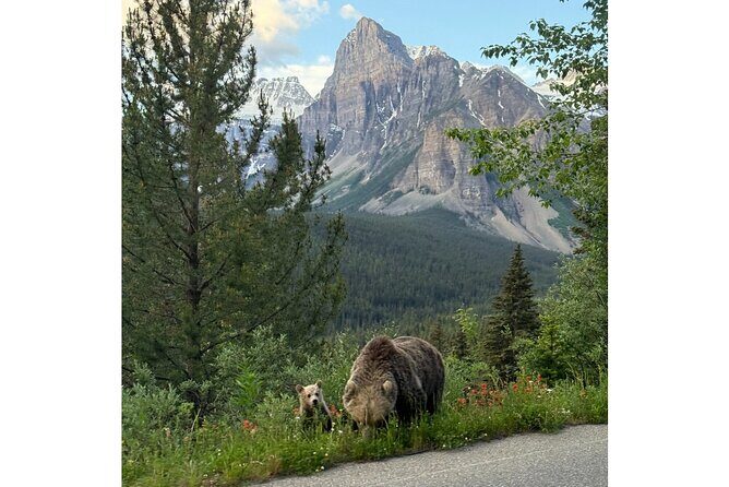 Moraine Lake, Lake Louise Afternoon Tour Half day From Banff - Authentic Experiences and Local Insights